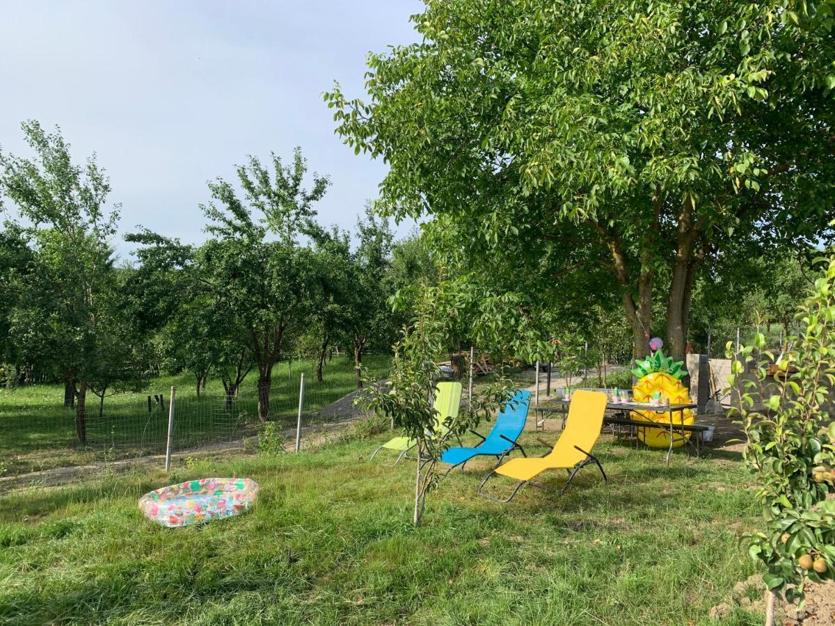 Viktoria House Villa Odorheiu Secuiesc Dış mekan fotoğraf