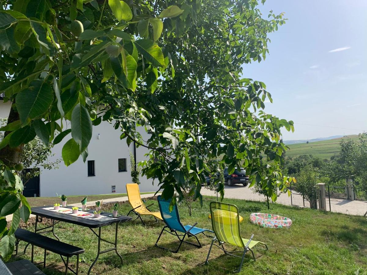 Viktoria House Villa Odorheiu Secuiesc Dış mekan fotoğraf