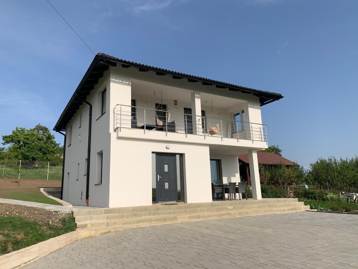 Viktoria House Villa Odorheiu Secuiesc Dış mekan fotoğraf