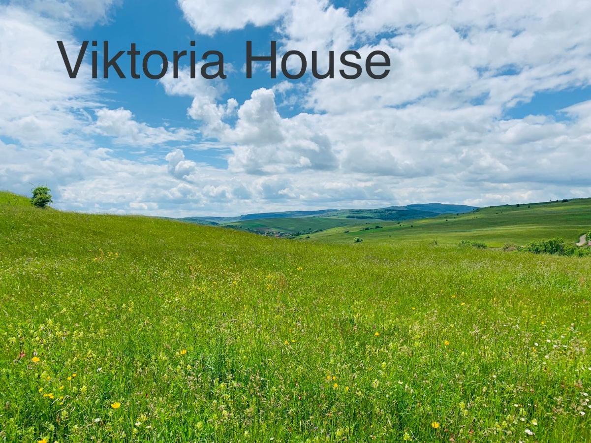 Viktoria House Villa Odorheiu Secuiesc Dış mekan fotoğraf
