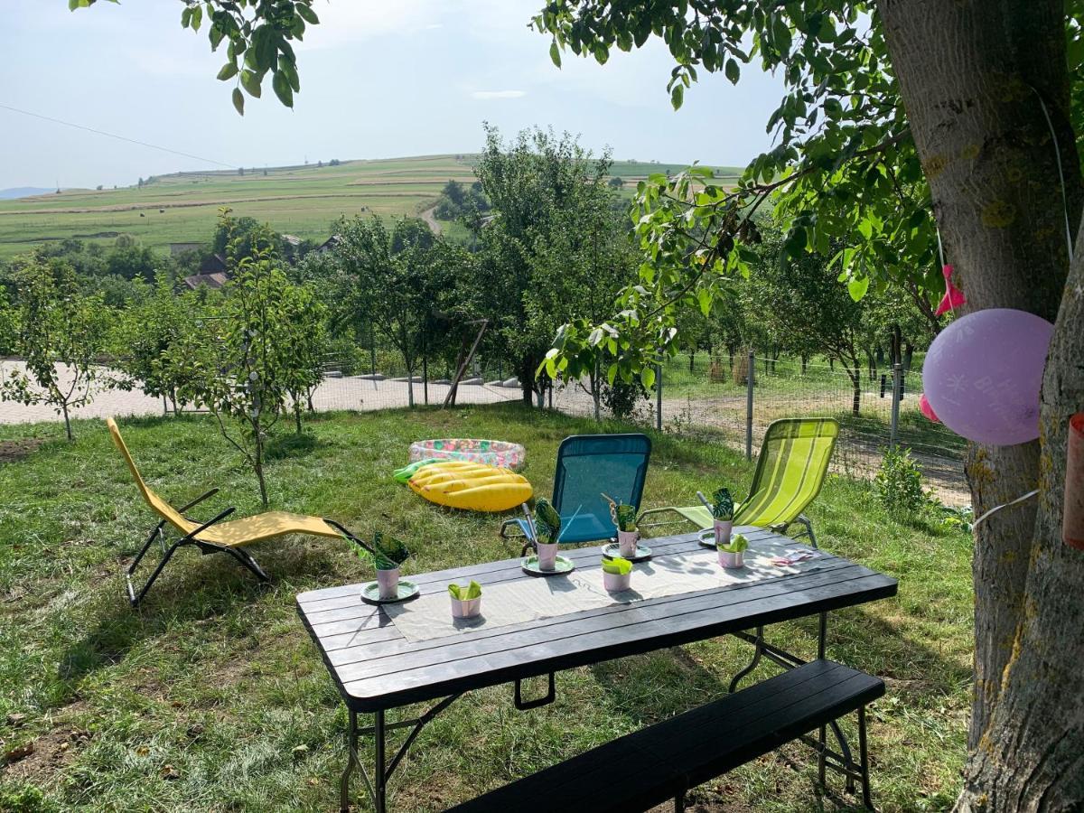 Viktoria House Villa Odorheiu Secuiesc Dış mekan fotoğraf