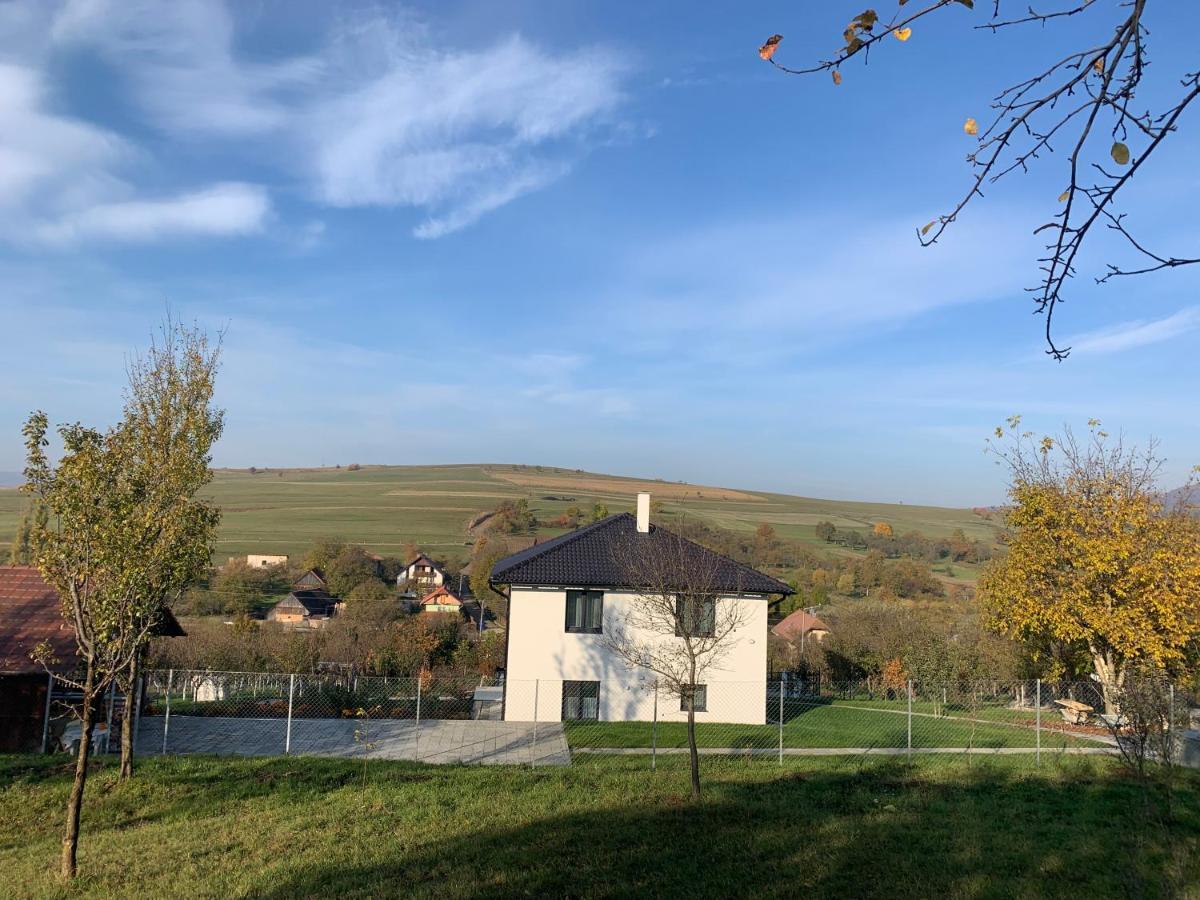 Viktoria House Villa Odorheiu Secuiesc Dış mekan fotoğraf