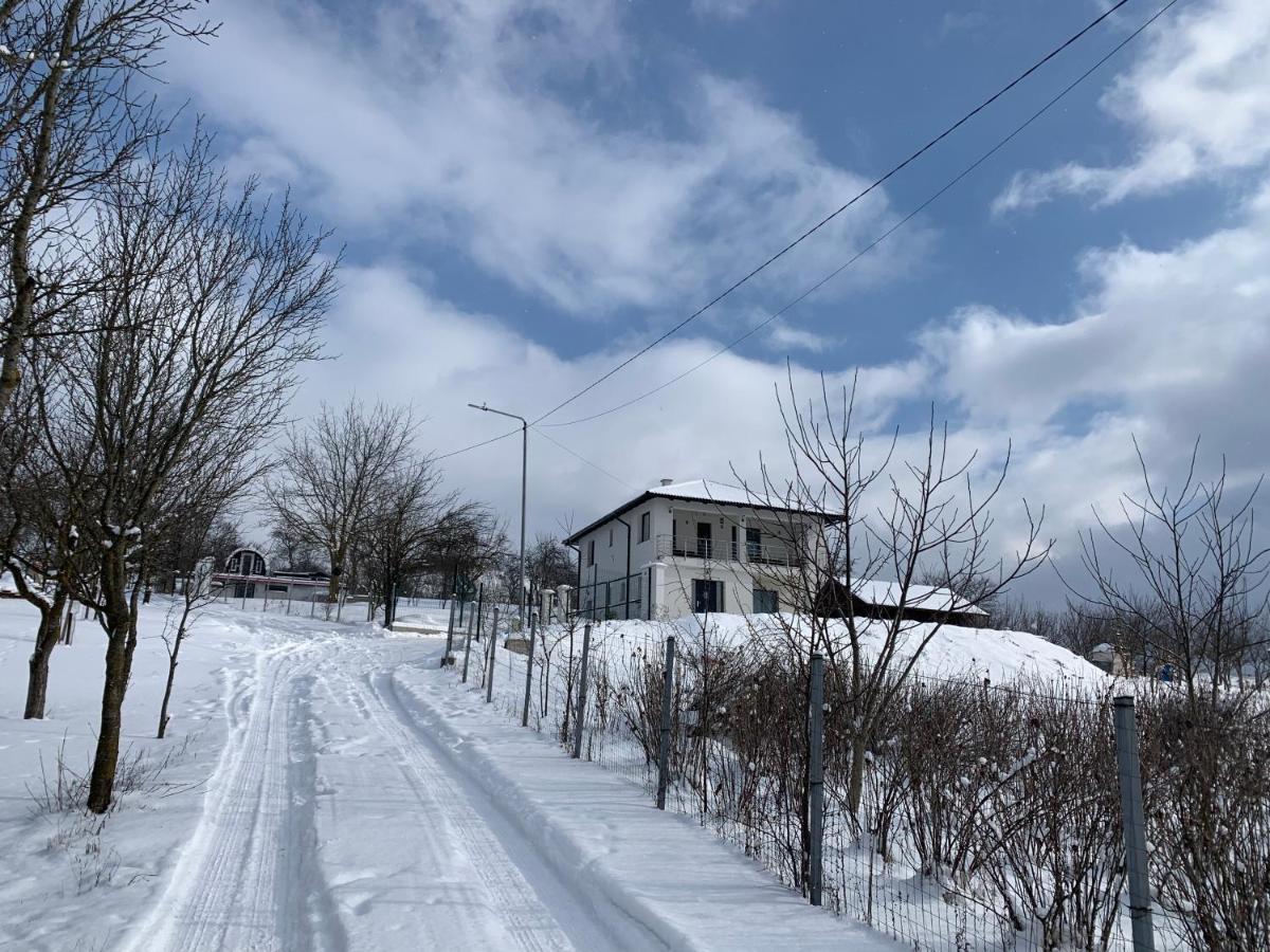 Viktoria House Villa Odorheiu Secuiesc Dış mekan fotoğraf