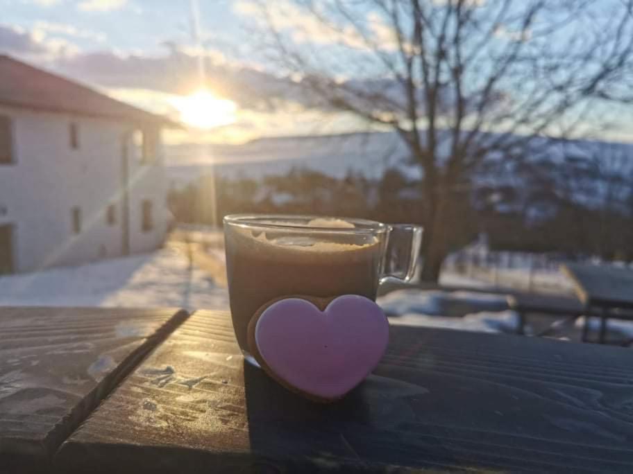 Viktoria House Villa Odorheiu Secuiesc Dış mekan fotoğraf