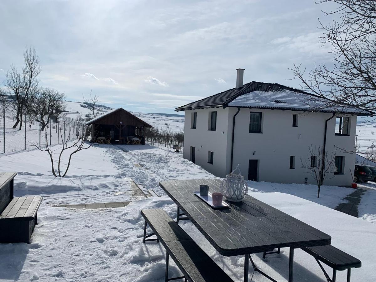 Viktoria House Villa Odorheiu Secuiesc Dış mekan fotoğraf