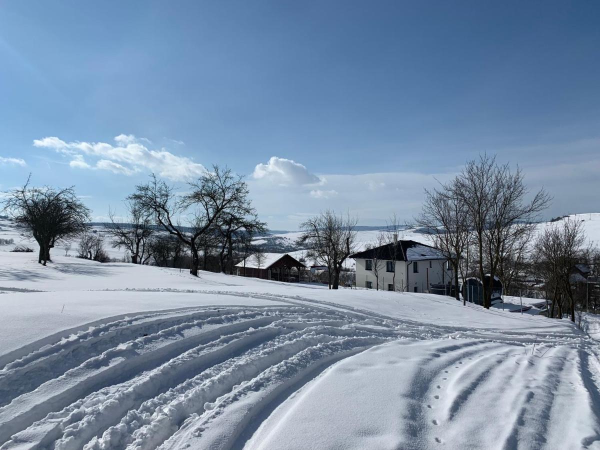 Viktoria House Villa Odorheiu Secuiesc Dış mekan fotoğraf
