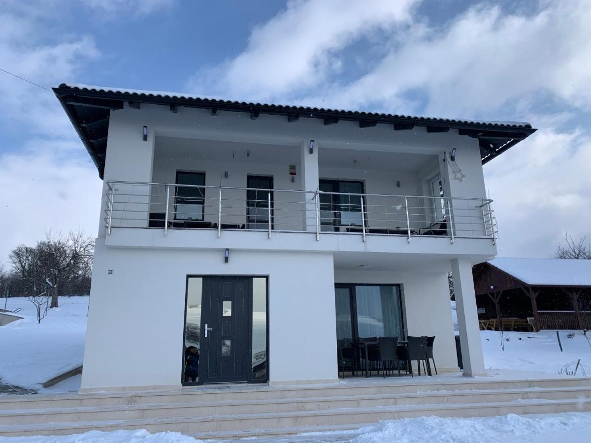 Viktoria House Villa Odorheiu Secuiesc Dış mekan fotoğraf