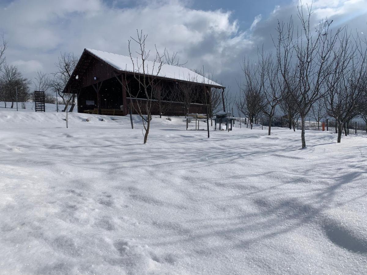 Viktoria House Villa Odorheiu Secuiesc Dış mekan fotoğraf